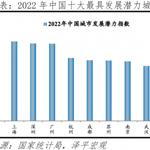 Top 10 Most Promising Cities for Development in China:2022