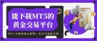  怎么下载MT5交易软件？能下载MT5的黄金交易平台有哪些？