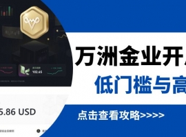 万洲金业贵金属交易平台深度评测：开户、交易杠杆与安全性全解析