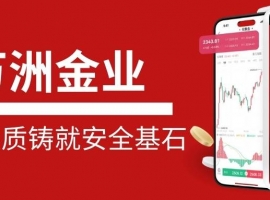 香港靠谱贵金属平台如何选？万洲金业正规资质投资者的安心之选