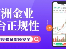 万洲金业平台正规吗？一文详解其平台交易现货黄金全流程