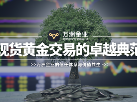 贵金属投资中的信任基石：万洲金业构建安全、专业的服务理念