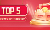 Novice must see!2026年现货黄金交易平台最新排名TOP5