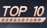 Novice must see!2025年最适合入门的十大现货黄金交易平台推荐