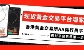 现货黄金交易平台哪家好？国内正规交易平台十大排名一览