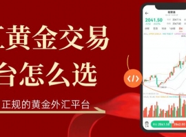 外汇黄金交易平台怎么选？2026年十大正规外汇黄金平台大盘点
