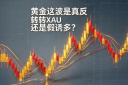 Is this wave of gold a true reversal or a false bullish trend?PCEdata