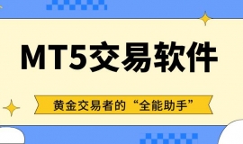 MT5交易平台软件免费下载，在线模拟炒黄金专用看盘软件