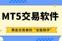 MT5交易平台软件免费下载，在线模拟炒黄金专用看盘软件