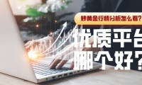 炒黄金行情分析怎么看？优质平台哪个好？