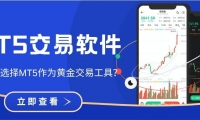 什么软件能炒黄金？2025十大正规平台下载MT5全攻略
