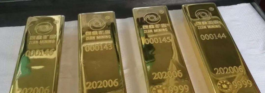 金荣中国模拟账号登录指南：新手入门第一步