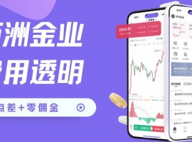 探秘万洲金业炒伦敦金：交易行情、手续费及平台网址一览