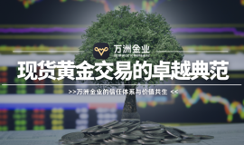 贵金属投资中的信任基石：万洲金业构建安全、专业的服务理念