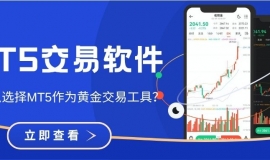 什么软件能炒黄金？2025十大正规平台下载MT5全攻略