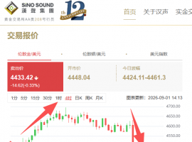 金价在大涨买入时机需谨慎