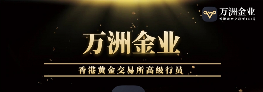 万洲金业专业版APP下载安装，官方权威指南！