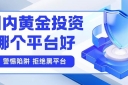 黄金投资在哪里开户？2026国内十大主流黄金投资开户平台推荐