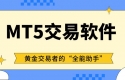 MT5交易平台软件免费下载，在线模拟炒黄金专用看盘软件