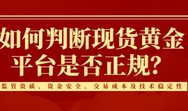 2025国内权威认证：十大正规现货黄金交易平台深度解析
