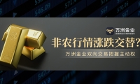非农行情破局之道：万洲金业双向交易策略与风控体系双剑合璧