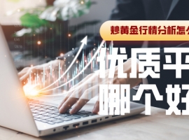 炒黄金行情分析怎么看？优质平台哪个好？