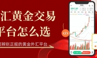 外汇黄金交易平台怎么选？2026年十大正规外汇黄金平台大盘点