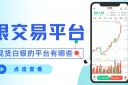 投资白银交易平台有哪些？甄选十大正规现货白银交易平台指南