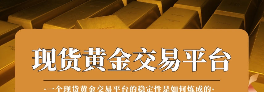 八年淬炼铸就“稳”字招牌：万洲金业何以成为黄金投资者的定盘星