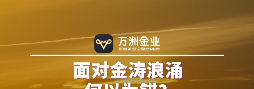 在贵金属投资旅途中，万洲金业以专业、沉稳的服务傲立市场