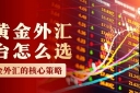 如何炒黄金外汇赚钱？分享十大炒黄金外汇正规交易平台