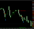 6.3 gold night