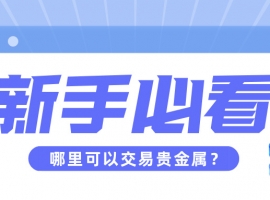 新手必看：哪里可以交易贵金属？