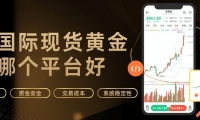 炒国际现货黄金哪个平台好？全球十大正规黄金交易平台推荐