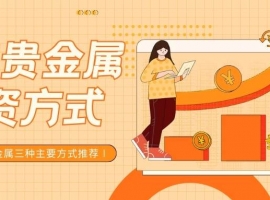 个人怎么投资贵金属？内地贵金属交易有哪些平台可以选择