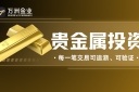 万洲金业以专业为保障，护航贵金属投资每一步