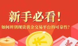 新手必看！如何辨别现货黄金交易平台的可靠性？避坑指南