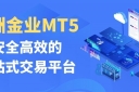 新手必看：下载万洲金业MT5炒黄金软件，普通人也能轻松炒黄金