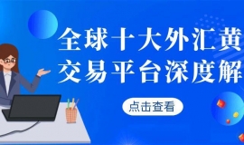 全球十大黄金外汇平台功能解析：MT5系统与风控优势对比