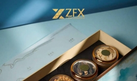 ZFX山海证券端午礼献：礼承山海，味蕴安康