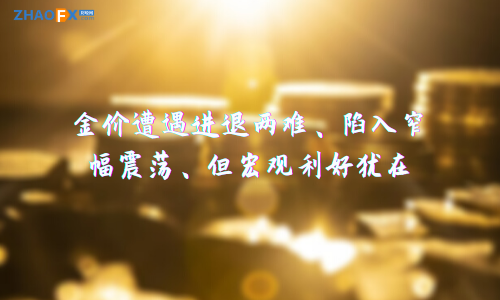 ZHAOFXGold prices are facing a dilemma, falling into a narrow range of fluctuations, but macro benefits remain316 / author:ZHAOFX / PostsID:1596829