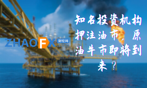 ZHAOFXFamous investment institutions are betting on the oil market, and the crude oil bull market is coming soon?888 / author:ZHAOFX / PostsID:1597291