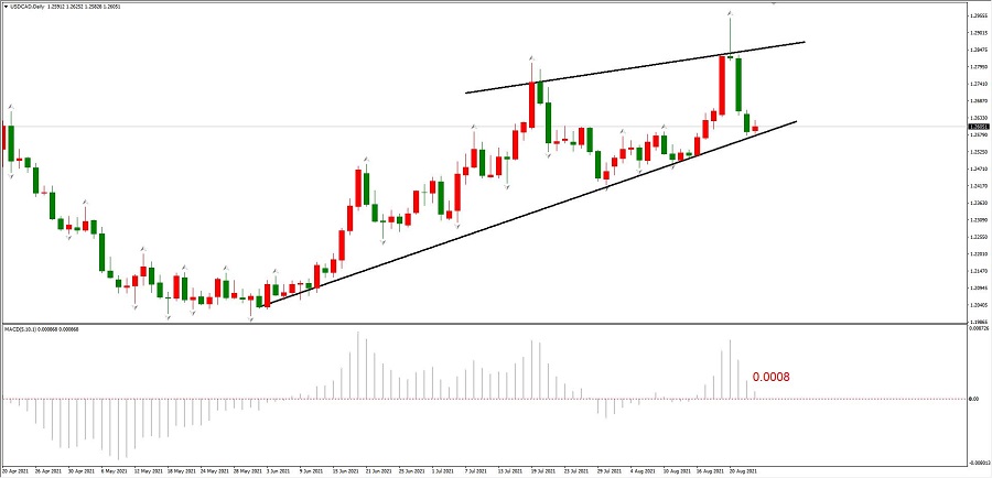 ATFX简评：GBPUSD、USDCAD、EURCHF空头趋势良好198 / author:atfx2019 / PostsID:1604432