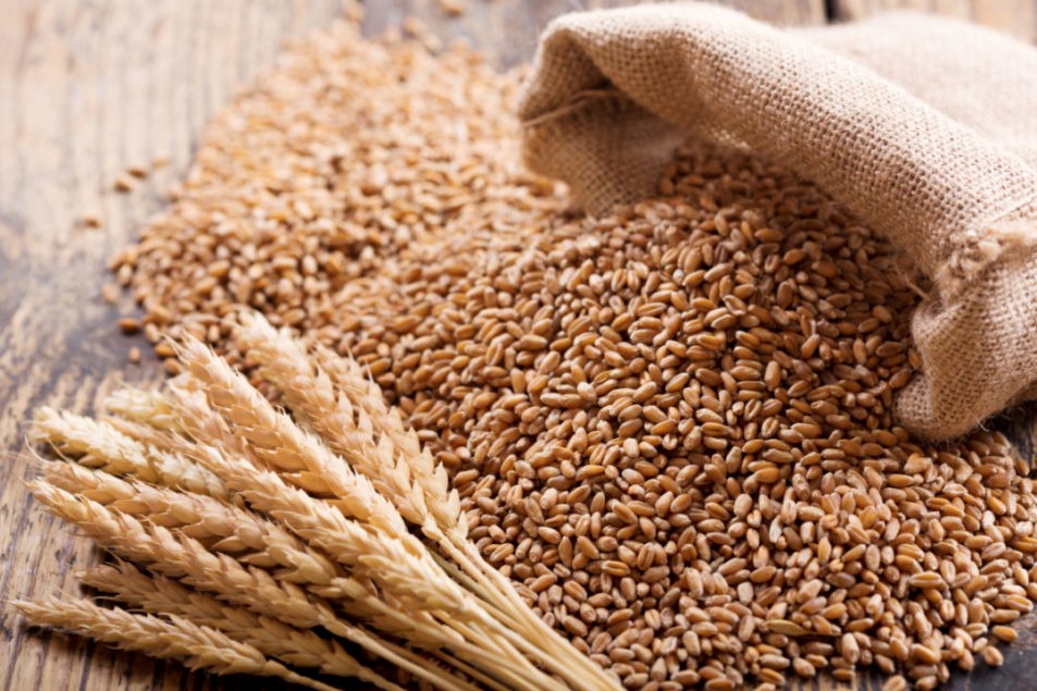 ATFX：美农业部下调产量预期，小麦期货冲击1200关口31 / 作者:atfx2019 / 帖子ID:1609521