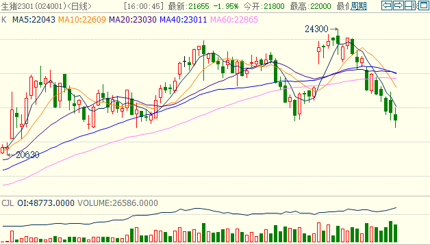 Pig ExpectationsVSMarket public opinion499 / author:YuemingDMI / PostsID:1715151