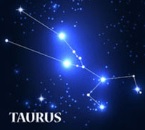 Constellation Deconstruction-Taurus8/10The most suitable zodiac sign for trading gold in the afternoon-VT Markets251 / author:Xiao Lulu, it's me / PostsID:1724709