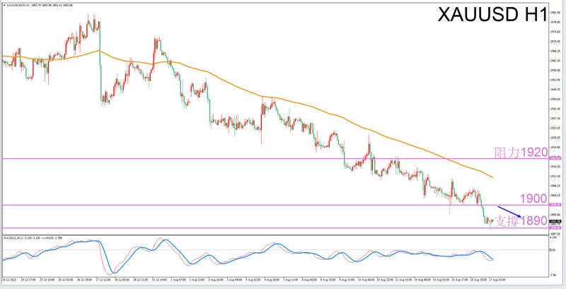 Constellation Deconstruction-Taurus8/17The most suitable zodiac sign for trading gold in the afternoon-VT Markets658 / author:Xiao Lulu, it's me / PostsID:1725057