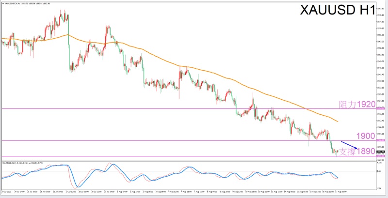 Constellation Deconstruction-Taurus8/17The most suitable zodiac sign for trading gold in the afternoon-VT Markets505 / author:Xiao Lulu, it's me / PostsID:1725057