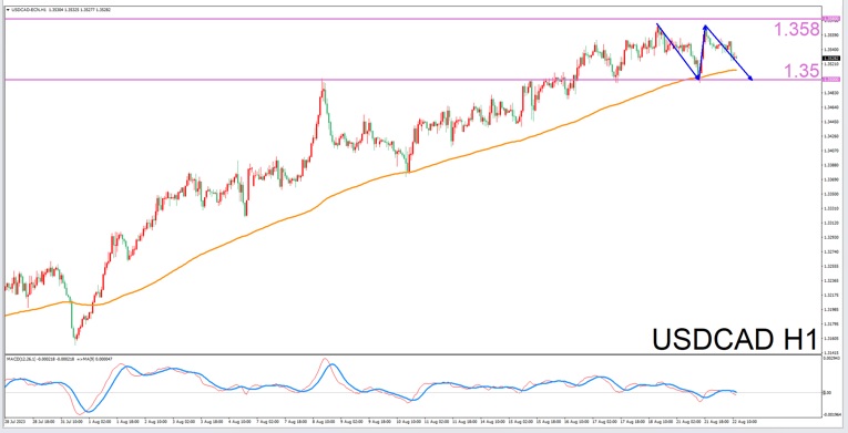 Constellation Deconstruction-Capricorn8/22Evening is the best time for tradingUSDCADThe constellation of-VT Markets46 / author:Xiao Lulu, it's me / PostsID:1725253