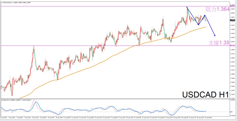 Constellation Deconstruction-Capricorn8/29The best time to trade in the afternoonUSDCADThe constellation of-VT Markets672 / author:Xiao Lulu, it's me / PostsID:1725435